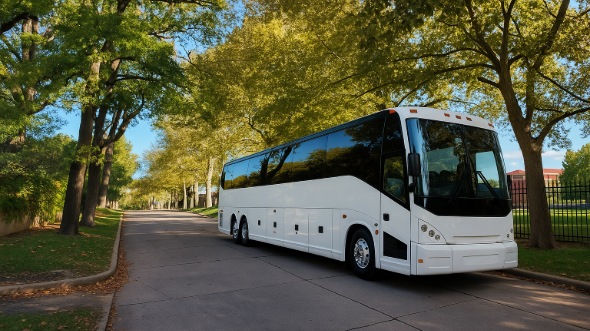 novi bus rentals for travel agents